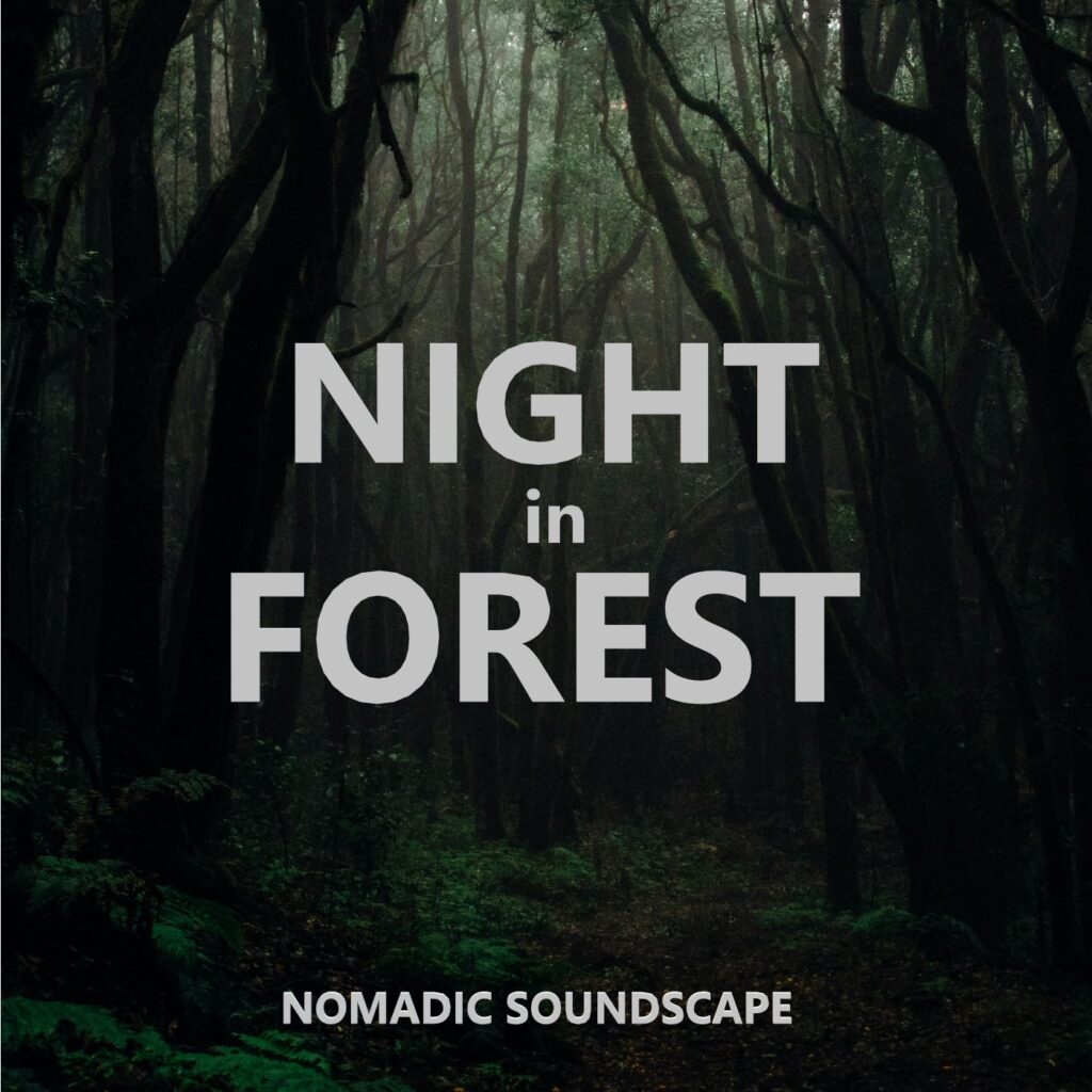 Night in forest