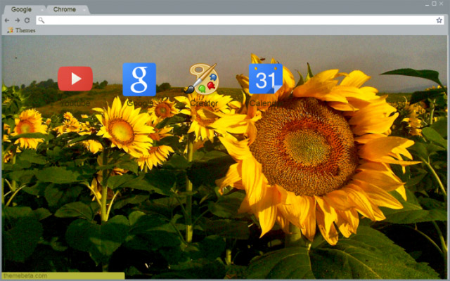 Sunflowers Google Chrome Theme